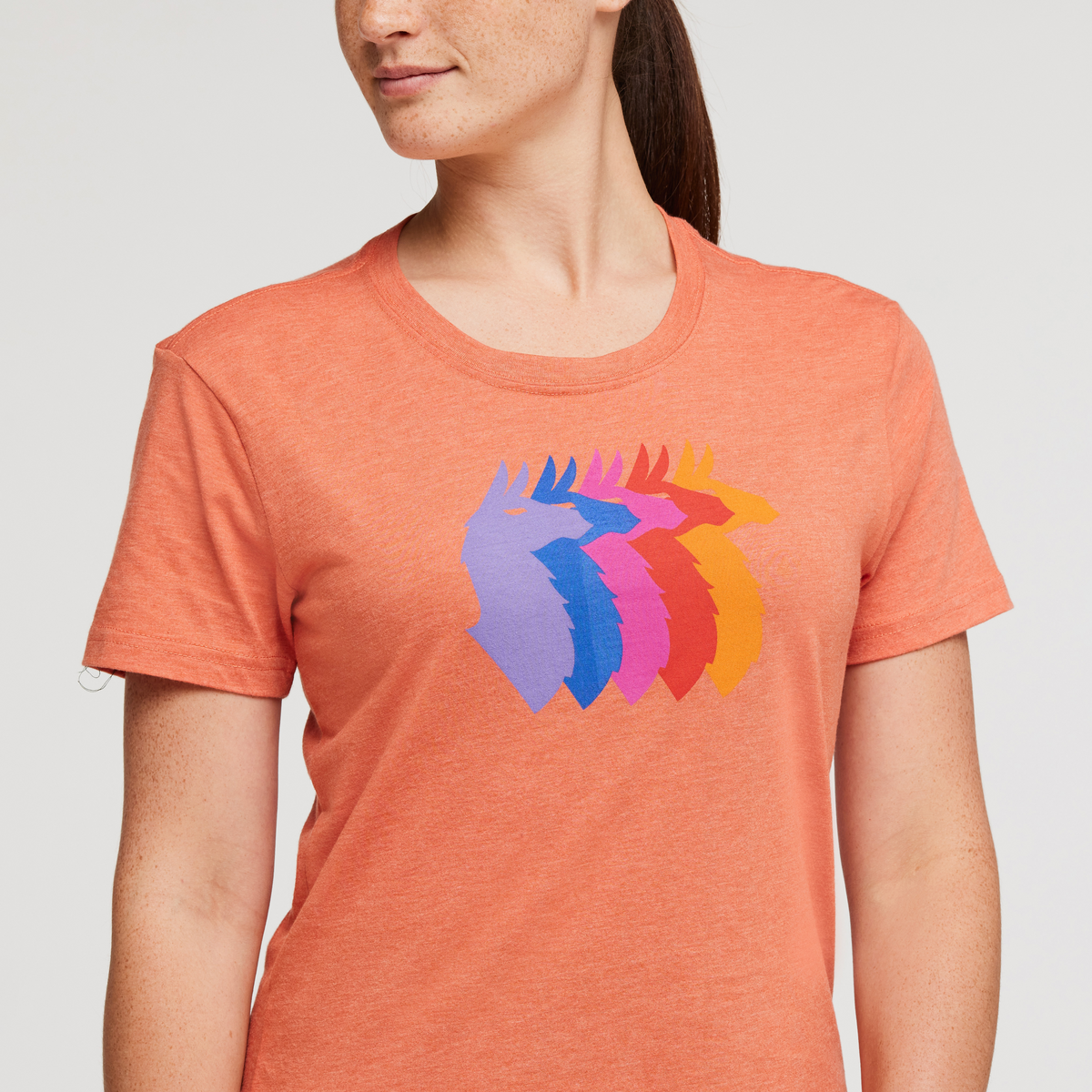 Llama Sequence T-Shirt - Women's - Image 6