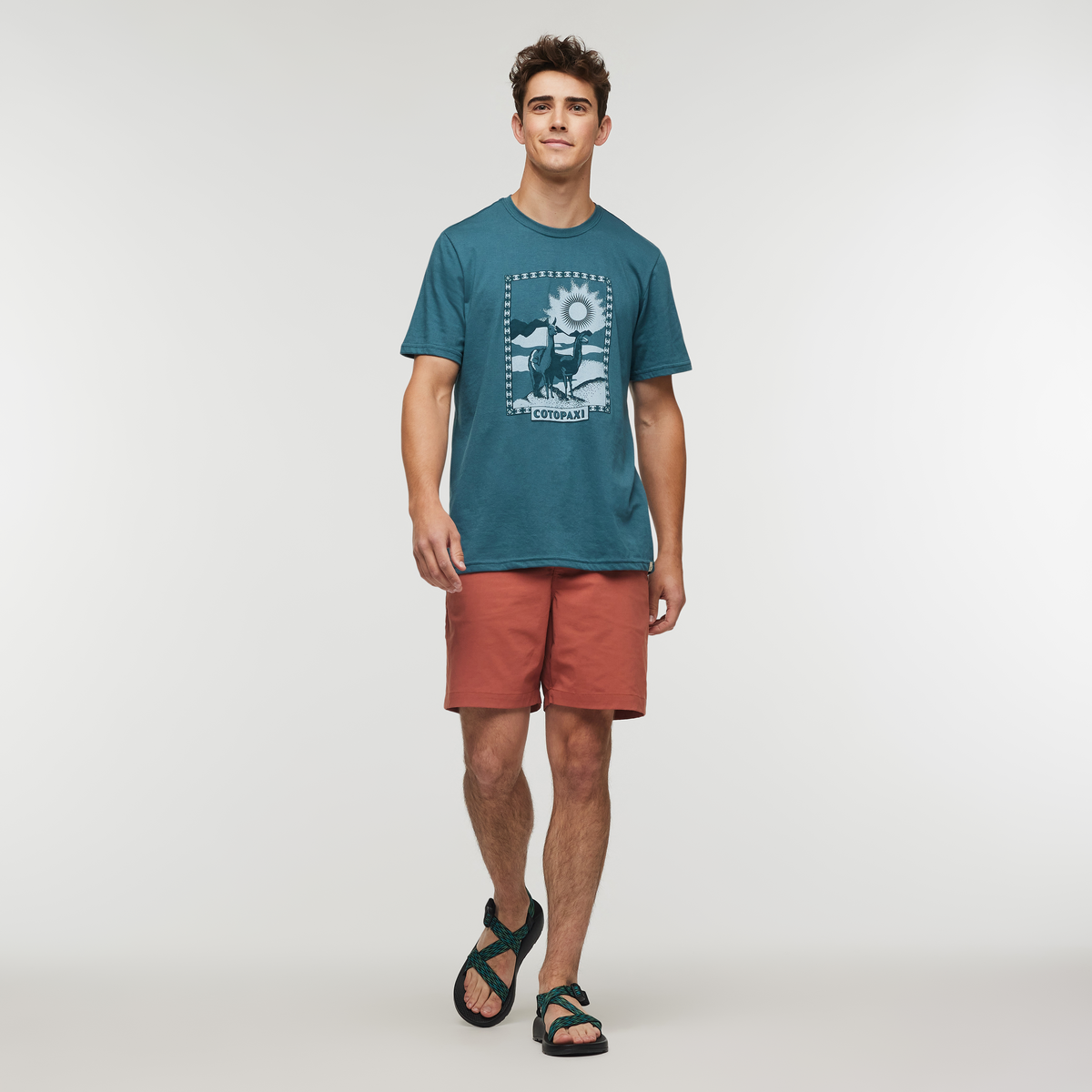 Alternative view of Llama Greetings T-Shirt - Men's