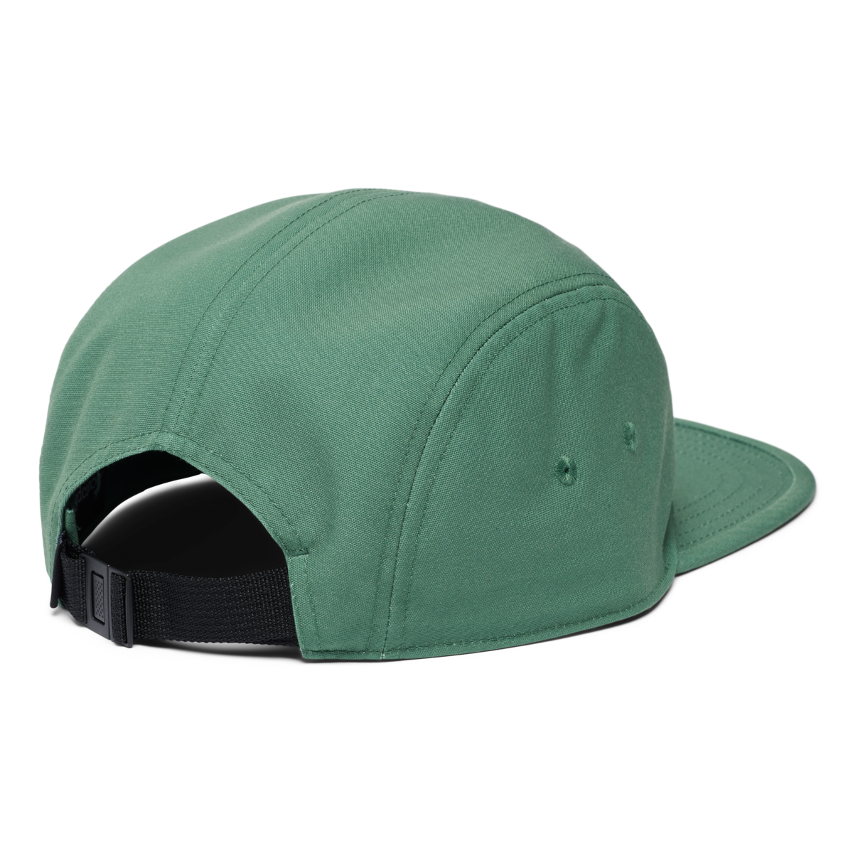 Alternative view of Llama Stripes 5-Panel Hat