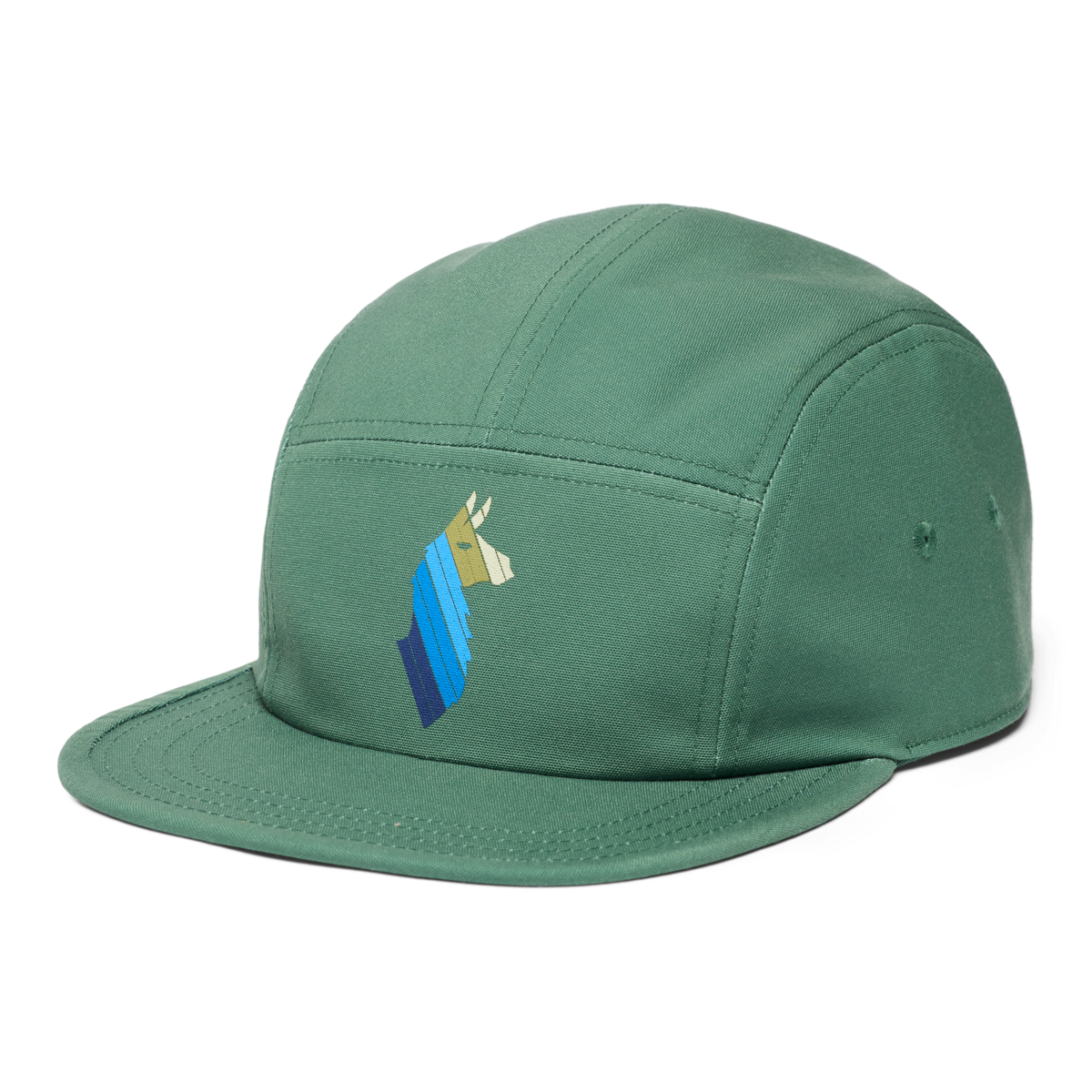 Llama Stripes 5-Panel Hat