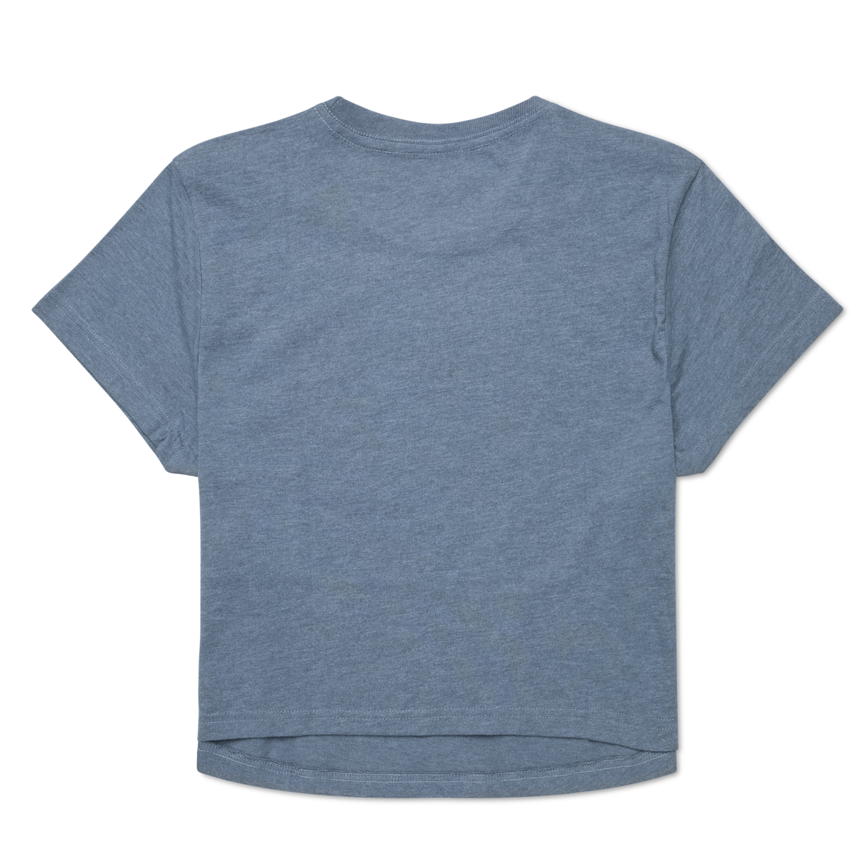 Alternative view of Tiny Llama Crop T-Shirt - Women's
